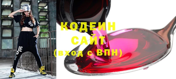 стаф Няндома