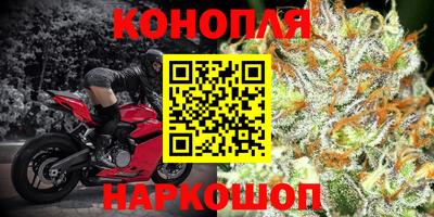 прущая мука Гусев