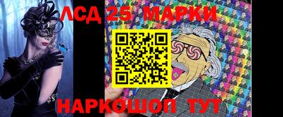 молекула духа Будённовск