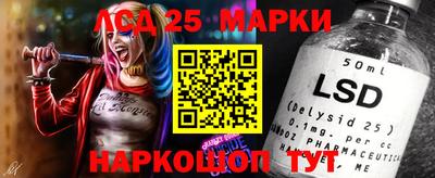 молекула духа Будённовск