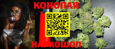 молекула духа Гусиноозёрск