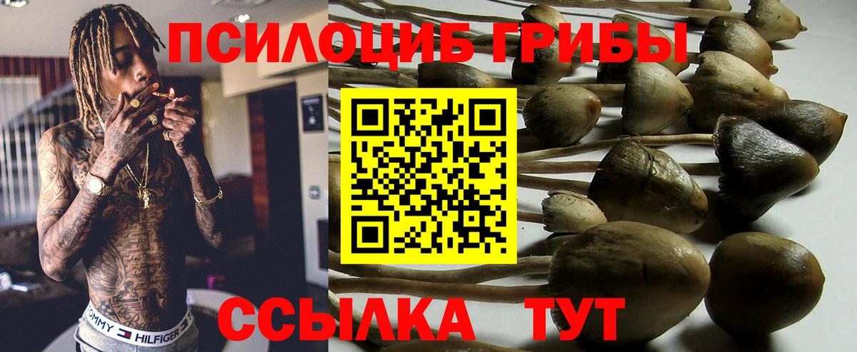 Псилоцибиновые грибы Magic Shrooms  Тулун 