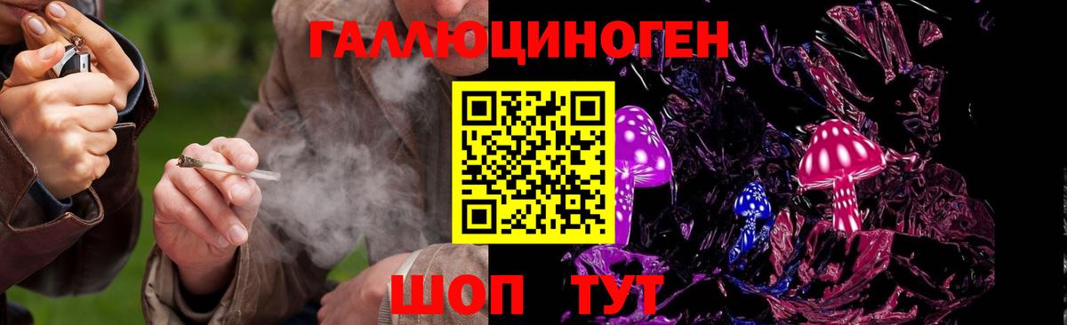 Галлюциногенные грибы мухоморы Тулун