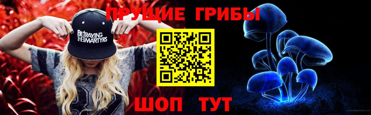 закладки  Галлюциногенные грибы прущие грибы  Вход с VPN  Тулун 