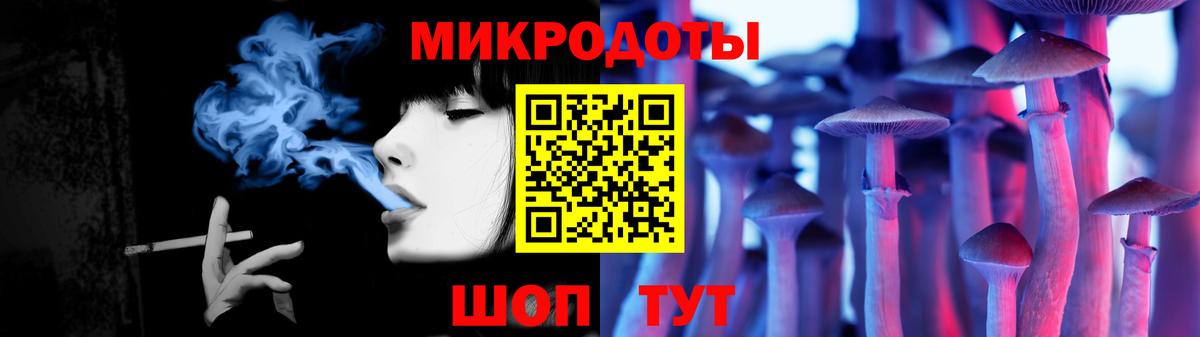 Галлюциногенные грибы Psilocybe Тулун